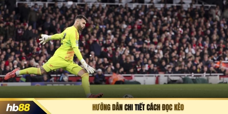 Hướng dẫn chi tiết cách đọc kèo